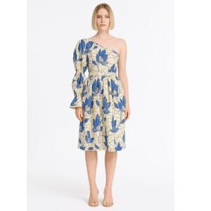 Autumn Adeigbo Dress 10